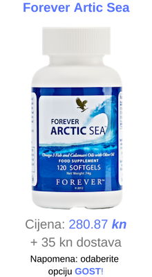 Forever Artic Sea